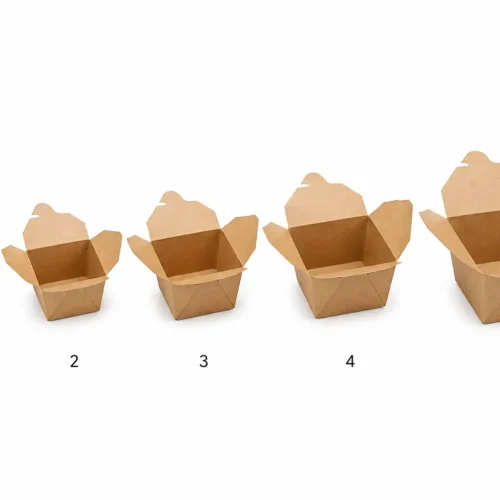 Bio Boxes (Kraft Food Containers)