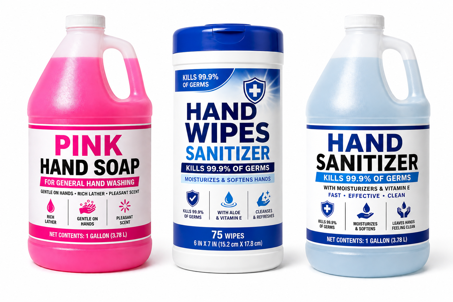 Sanitizing Hand Wipes (12 Pack)