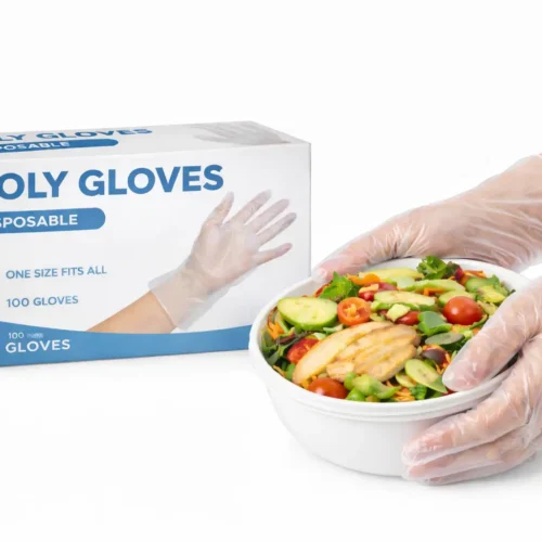 poly gloves 1 Poly Clear Gloves